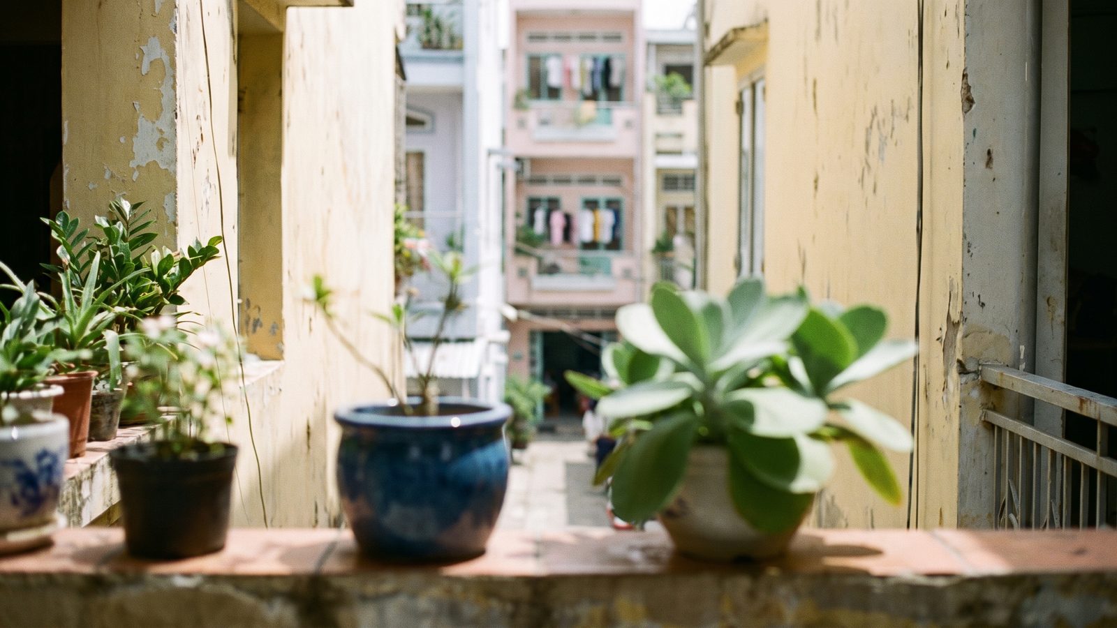 A quiet residential lane in Ho Chi Minh City with potted plants, laundry on a line and low-rise houses, seen from a shaded doorway